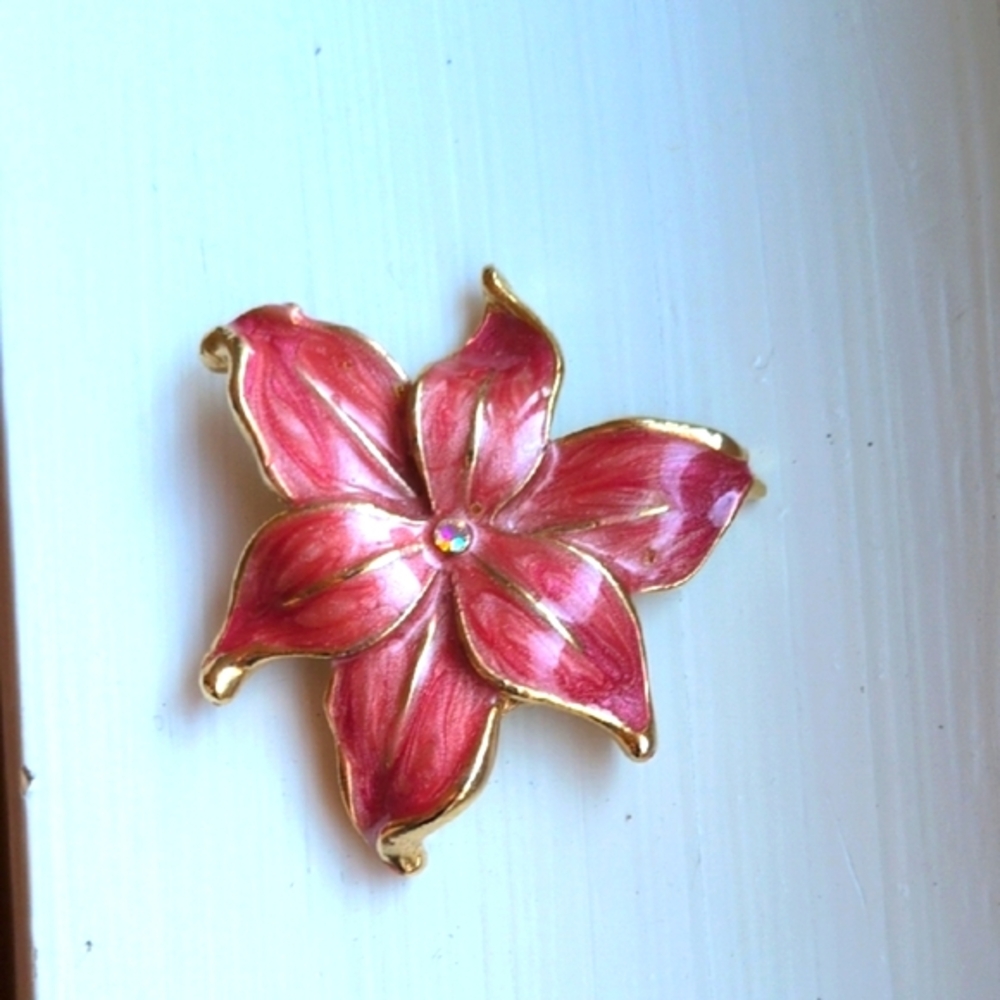 Enamel Pointsettia Brooch